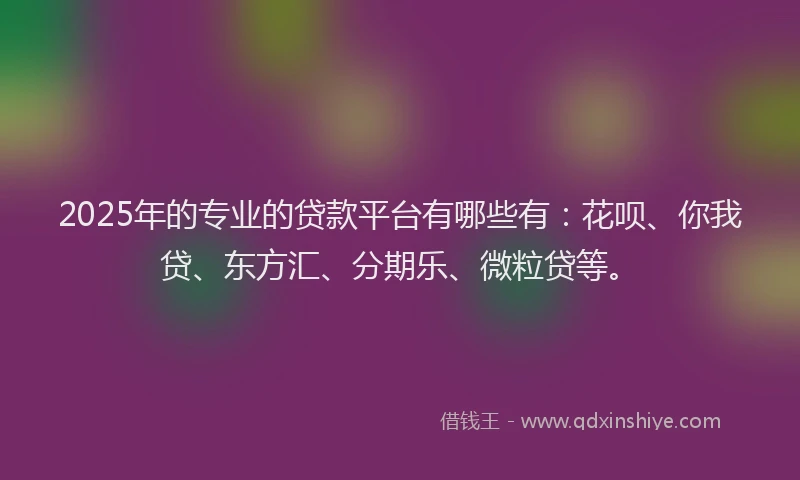 2025年的专业的贷款平台有哪些有：花呗、你我贷、东方汇、分期乐、微粒贷等。
