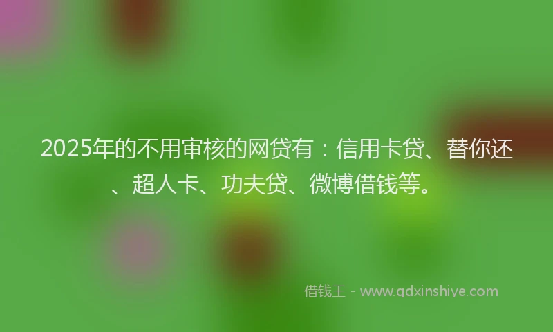 2025年的不用审核的网贷有：信用卡贷、替你还、超人卡、功夫贷、微博借钱等。
