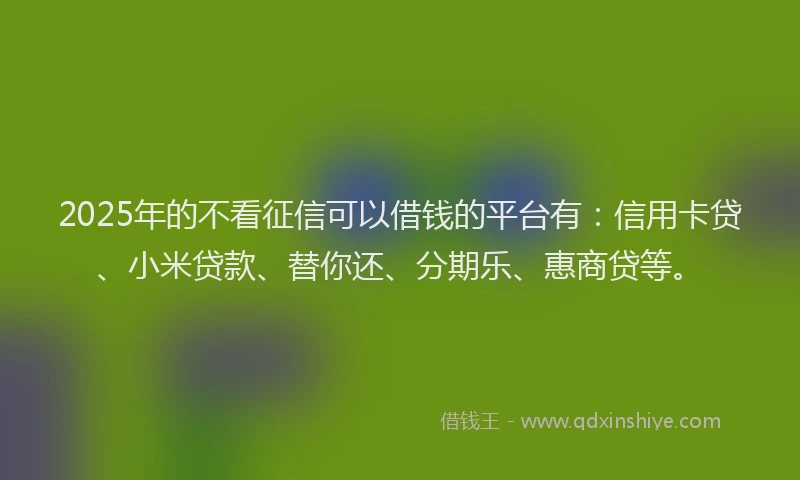 2025年的不看征信可以借钱的平台有：信用卡贷、小米贷款、替你还、分期乐、惠商贷等。