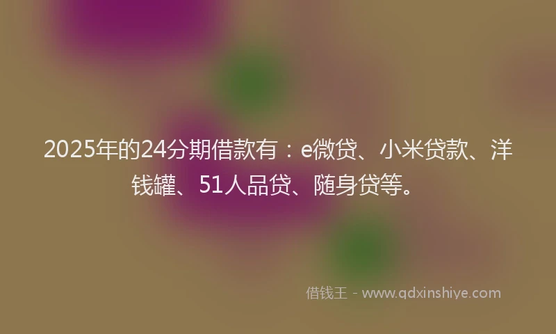 2025年的24分期借款有：e微贷、小米贷款、洋钱罐、51人品贷、随身贷等。