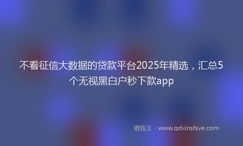 不看征信大数据的贷款平台2025年精选，汇总5个无视黑白户秒下款app