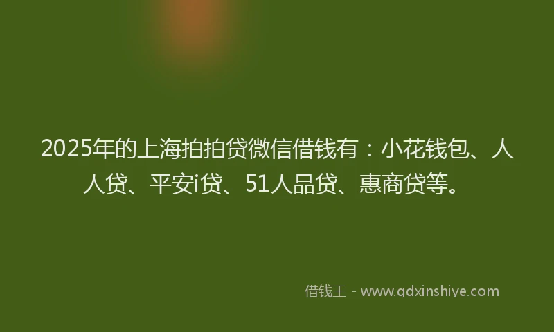 2025年的上海拍拍贷微信借钱有：小花钱包、人人贷、平安i贷、51人品贷、惠商贷等。