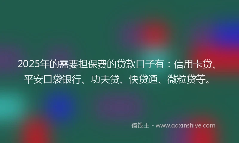 2025年的需要担保费的贷款口子有：信用卡贷、平安口袋银行、功夫贷、快贷通、微粒贷等。