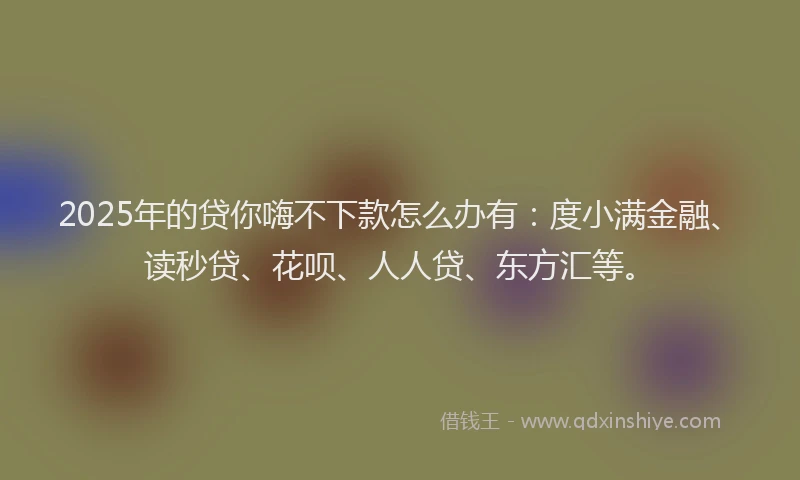 2025年的贷你嗨不下款怎么办有：度小满金融、读秒贷、花呗、人人贷、东方汇等。
