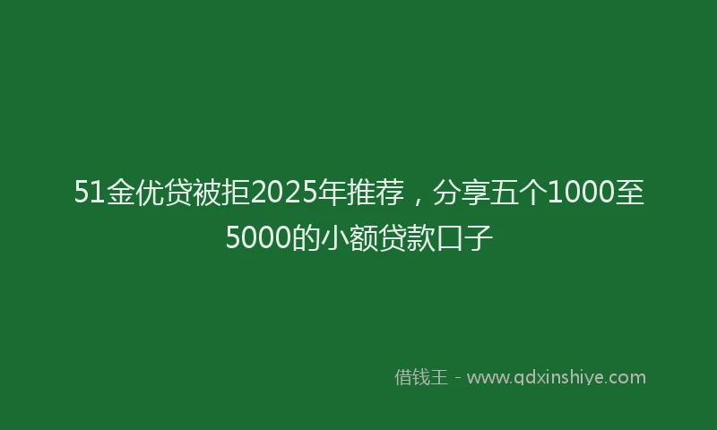 51金优贷被拒2025年推荐，分享五个1000至5000的小额贷款口子