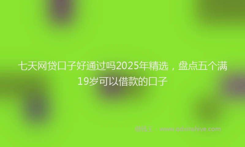 七天网贷口子好通过吗2025年精选，盘点五个满19岁可以借款的口子