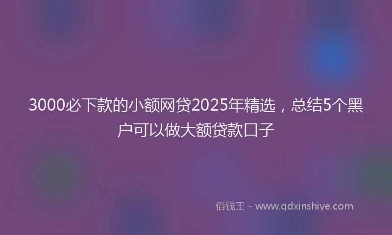 3000必下款的小额网贷2025年精选，总结5个黑户可以做大额贷款口子
