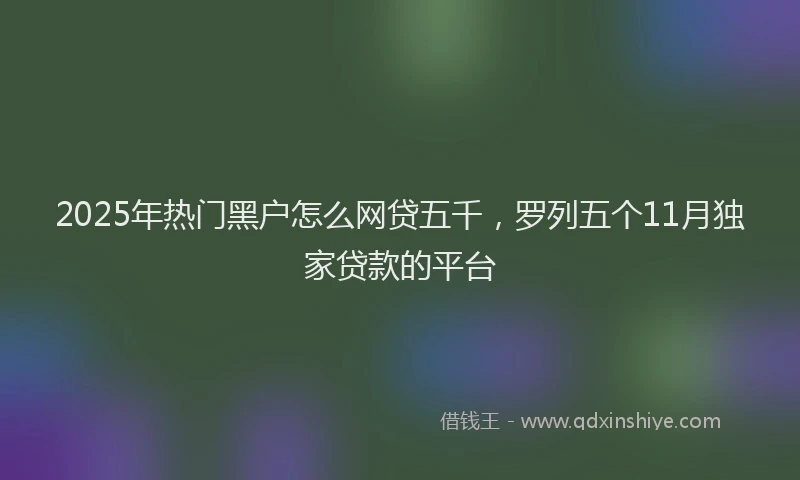 2025年热门黑户怎么网贷五千，罗列五个11月独家贷款的平台