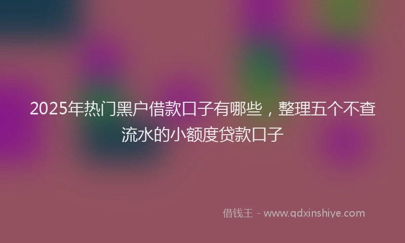 2025年热门黑户借款口子有哪些，整理五个不查流水的小额度贷款口子