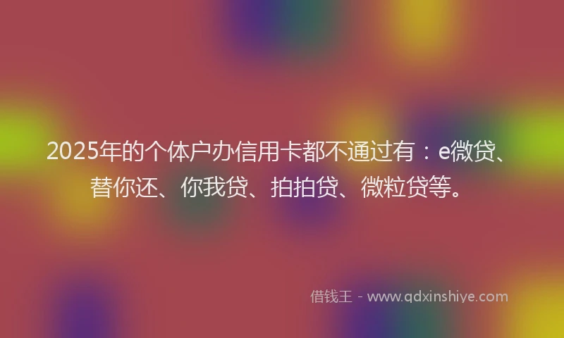 2025年的个体户办信用卡都不通过有：e微贷、替你还、你我贷、拍拍贷、微粒贷等。