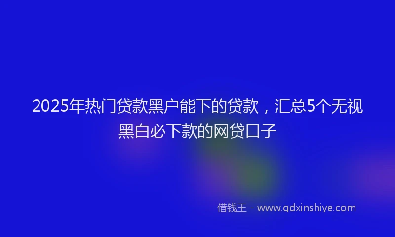 2025年热门贷款黑户能下的贷款，汇总5个无视黑白必下款的网贷口子