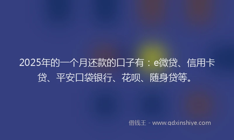 2025年的一个月还款的口子有：e微贷、信用卡贷、平安口袋银行、花呗、随身贷等。