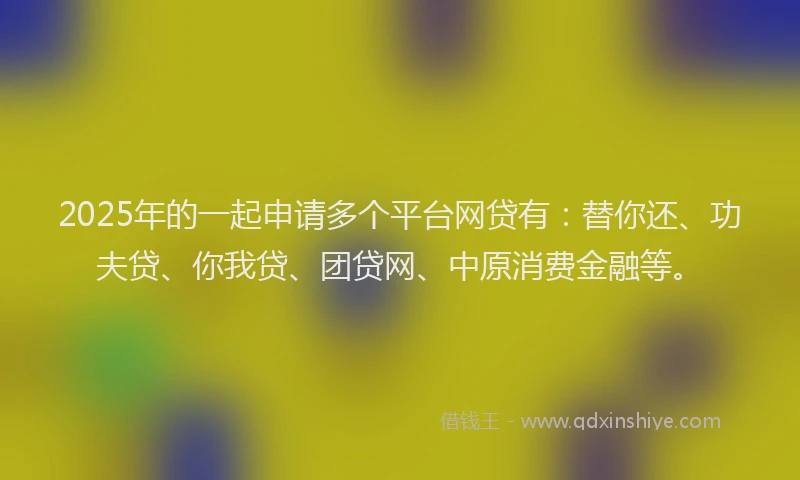 2025年的一起申请多个平台网贷有：替你还、功夫贷、你我贷、团贷网、中原消费金融等。