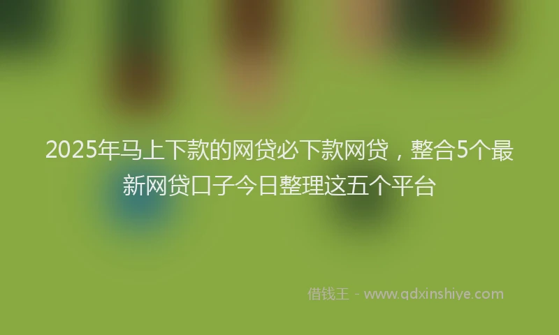 2025年马上下款的网贷必下款网贷，整合5个最新网贷口子今日整理这五个平台