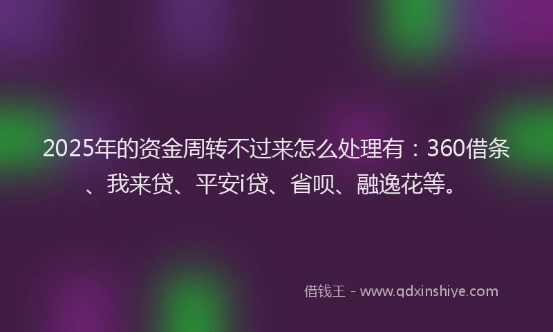 2025年的资金周转不过来怎么处理有：360借条、我来贷、平安i贷、省呗、融逸花等。