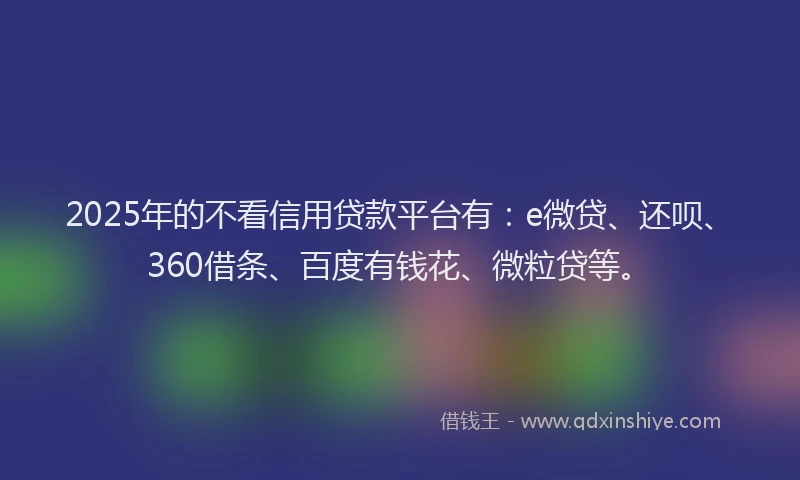 2025年的不看信用贷款平台有：e微贷、还呗、360借条、百度有钱花、微粒贷等。