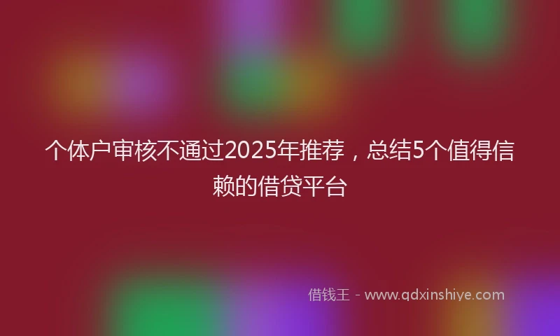 个体户审核不通过2025年推荐，总结5个值得信赖的借贷平台