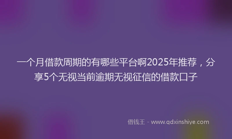 一个月借款周期的有哪些平台啊2025年推荐，分享5个无视当前逾期无视征信的借款口子