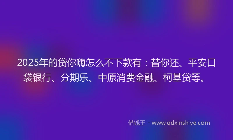 2025年的贷你嗨怎么不下款有：替你还、平安口袋银行、分期乐、中原消费金融、柯基贷等。