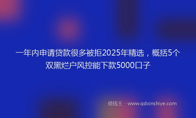 一年内申请贷款很多被拒2025年精选，概括5个双黑烂户风控能下款5000口子
