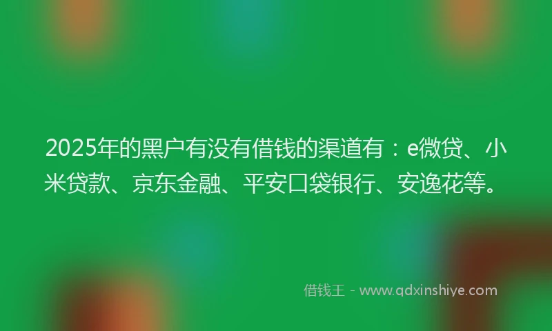 2025年的黑户有没有借钱的渠道有：e微贷、小米贷款、京东金融、平安口袋银行、安逸花等。