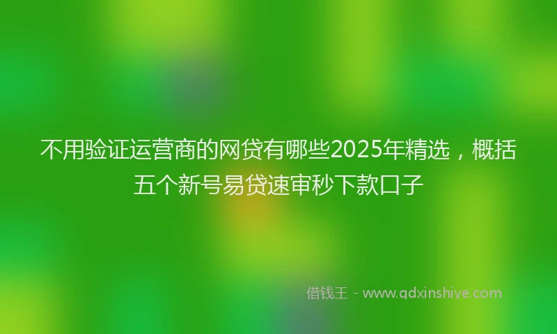 不用验证运营商的网贷有哪些2025年精选，概括五个新号易贷速审秒下款口子