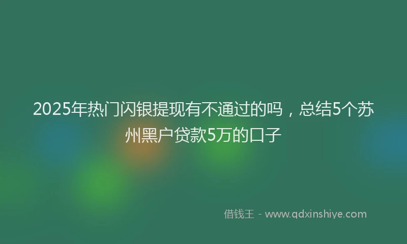 2025年热门闪银提现有不通过的吗，总结5个苏州黑户贷款5万的口子