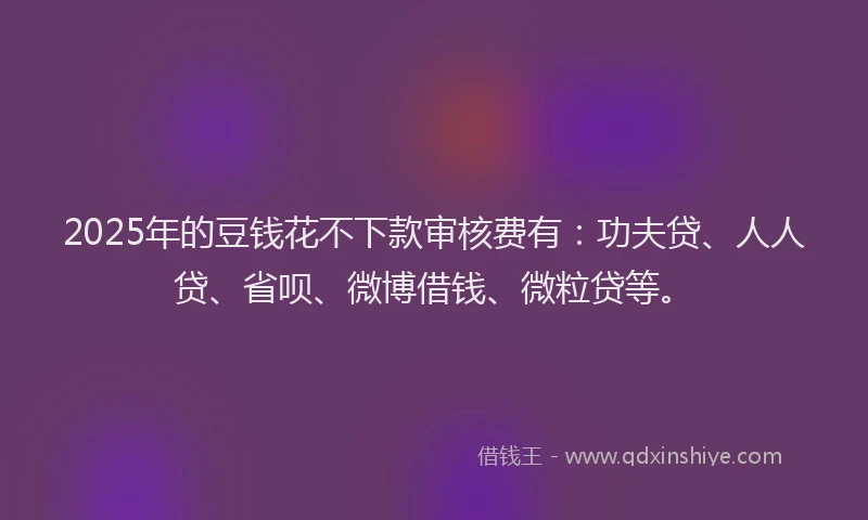 2025年的豆钱花不下款审核费有：功夫贷、人人贷、省呗、微博借钱、微粒贷等。