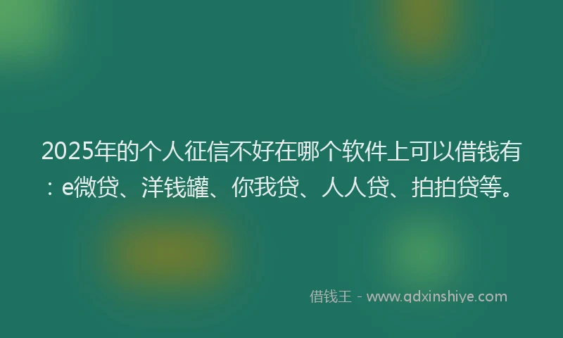 2025年的个人征信不好在哪个软件上可以借钱有：e微贷、洋钱罐、你我贷、人人贷、拍拍贷等。