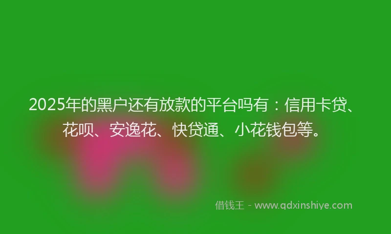 2025年的黑户还有放款的平台吗有：信用卡贷、花呗、安逸花、快贷通、小花钱包等。