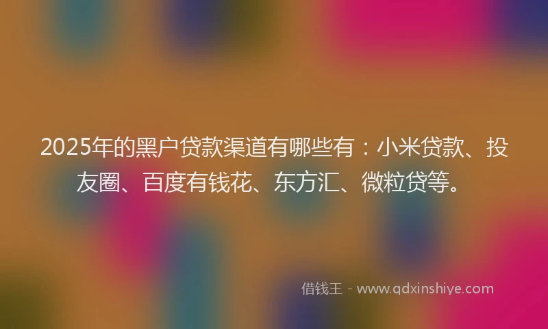 2025年的黑户贷款渠道有哪些有：小米贷款、投友圈、百度有钱花、东方汇、微粒贷等。