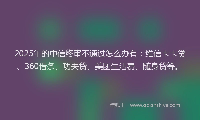 2025年的中信终审不通过怎么办有：维信卡卡贷、360借条、功夫贷、美团生活费、随身贷等。
