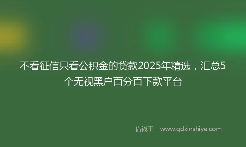 不看征信只看公积金的贷款2025年精选，汇总5个无视黑户百分百下款平台