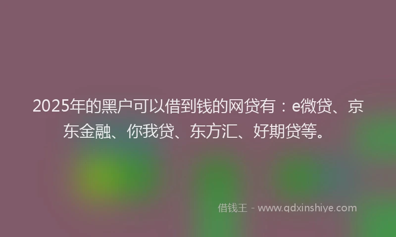 2025年的黑户可以借到钱的网贷有：e微贷、京东金融、你我贷、东方汇、好期贷等。