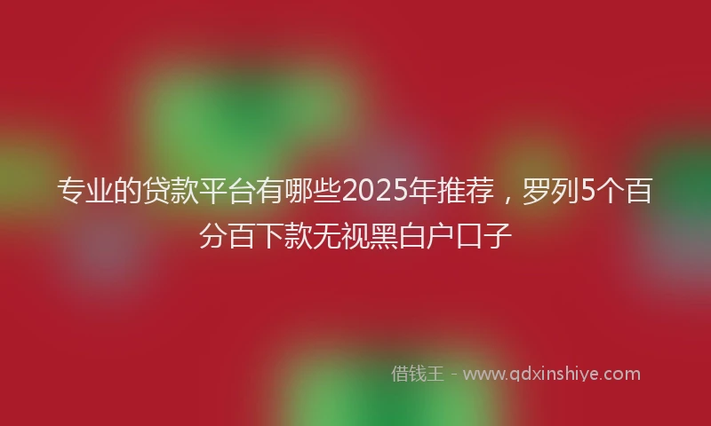 专业的贷款平台有哪些2025年推荐，罗列5个百分百下款无视黑白户口子
