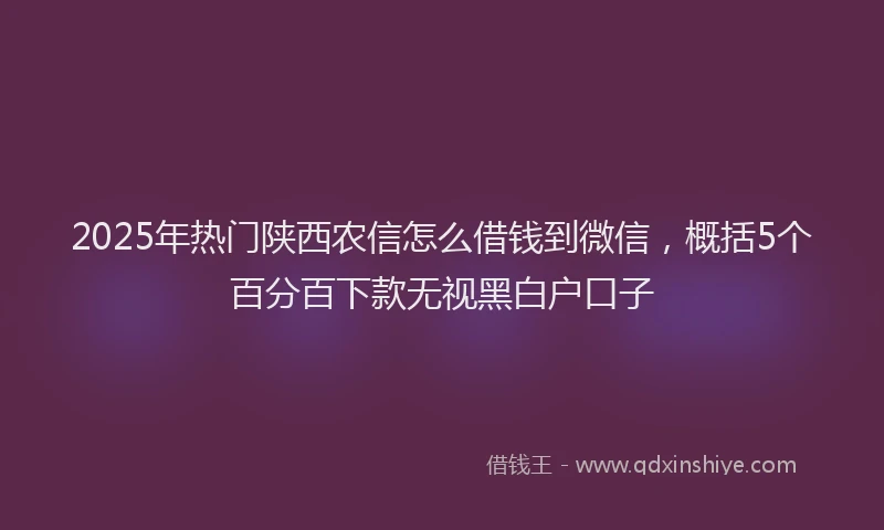 2025年热门陕西农信怎么借钱到微信，概括5个百分百下款无视黑白户口子