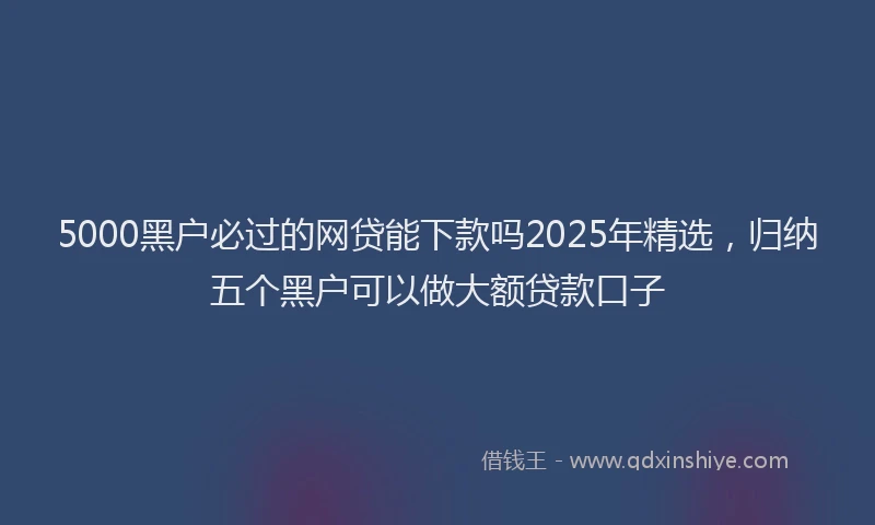 5000黑户必过的网贷能下款吗2025年精选，归纳五个黑户可以做大额贷款口子