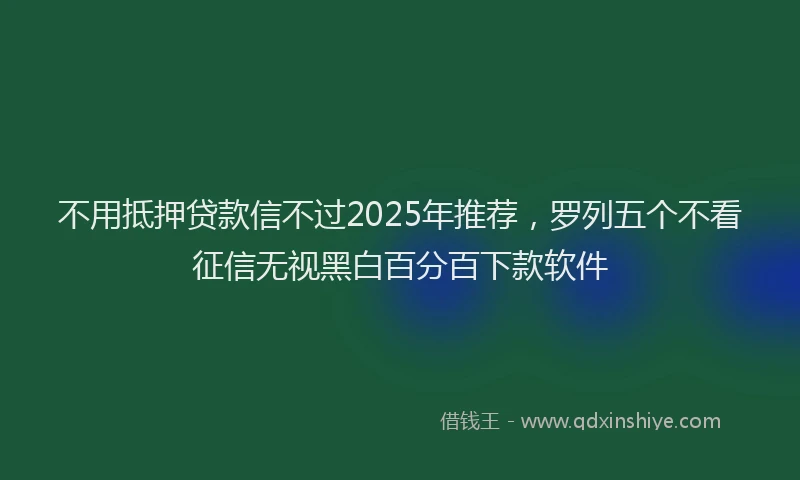 不用抵押贷款信不过2025年推荐，罗列五个不看征信无视黑白百分百下款软件