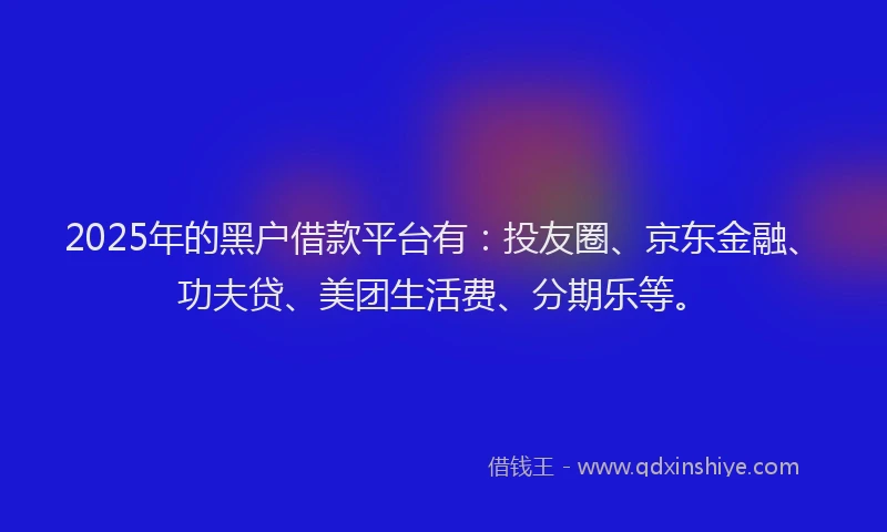 2025年的黑户借款平台有：投友圈、京东金融、功夫贷、美团生活费、分期乐等。