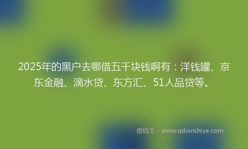 2025年的黑户去哪借五千块钱啊有：洋钱罐、京东金融、滴水贷、东方汇、51人品贷等。