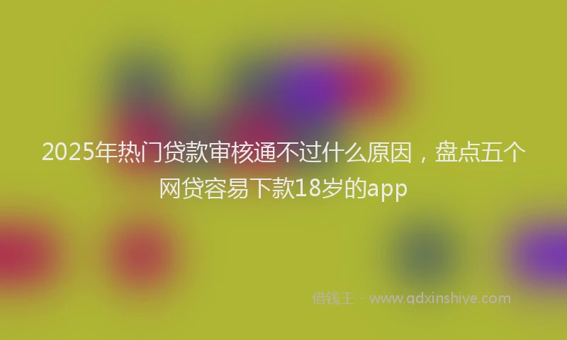 2025年热门贷款审核通不过什么原因，盘点五个网贷容易下款18岁的app