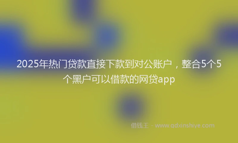 2025年热门贷款直接下款到对公账户，整合5个5个黑户可以借款的网贷app