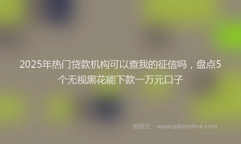 2025年热门贷款机构可以查我的征信吗，盘点5个无视黑花能下款一万元口子