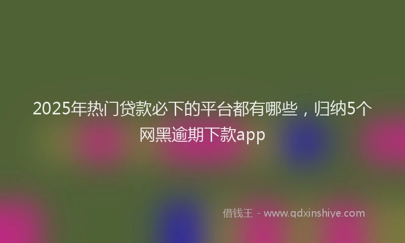 2025年热门贷款必下的平台都有哪些，归纳5个网黑逾期下款app
