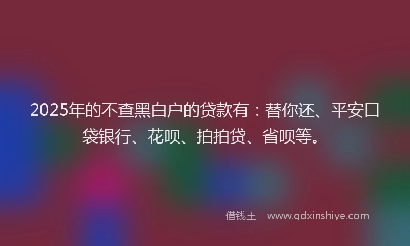 2025年的不查黑白户的贷款有：替你还、平安口袋银行、花呗、拍拍贷、省呗等。