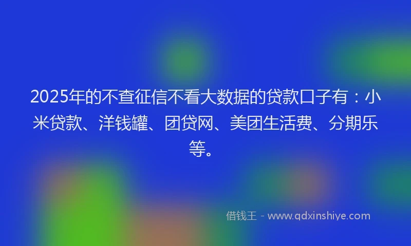 2025年的不查征信不看大数据的贷款口子有：小米贷款、洋钱罐、团贷网、美团生活费、分期乐等。