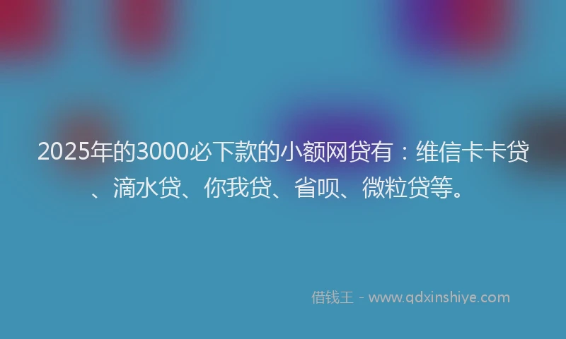 2025年的3000必下款的小额网贷有：维信卡卡贷、滴水贷、你我贷、省呗、微粒贷等。
