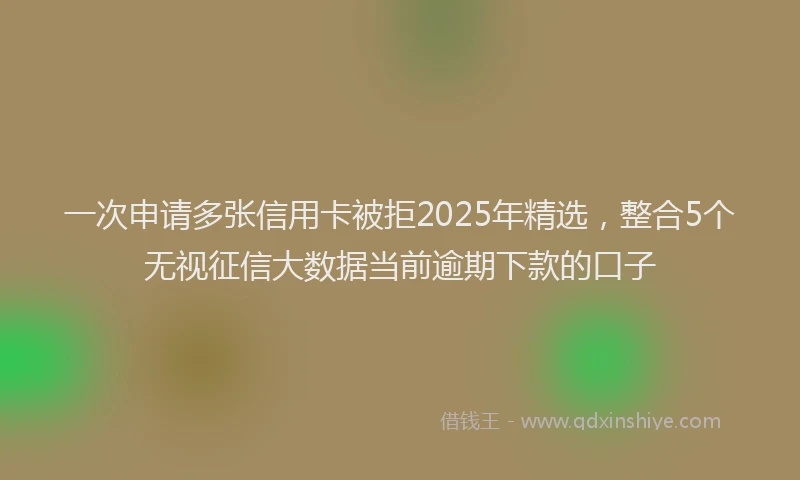 一次申请多张信用卡被拒2025年精选，整合5个无视征信大数据当前逾期下款的口子