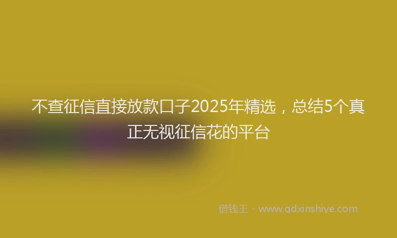 不查征信直接放款口子2025年精选，总结5个真正无视征信花的平台