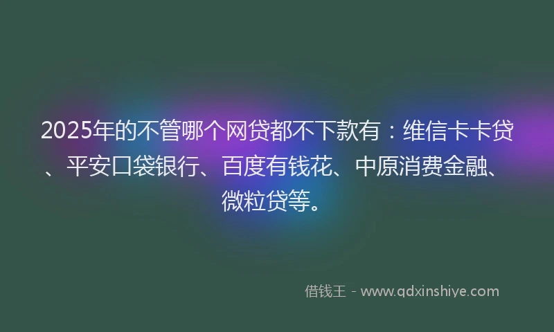 2025年的不管哪个网贷都不下款有：维信卡卡贷、平安口袋银行、百度有钱花、中原消费金融、微粒贷等。